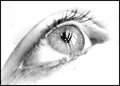 Maurnet's eye