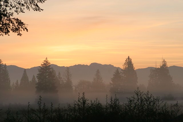morning mists.jpg