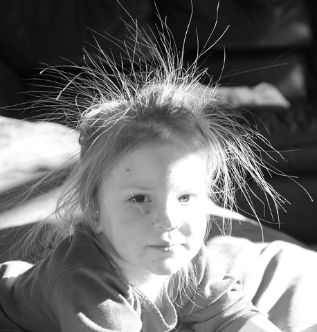 bad hair day Medium Web view.jpg