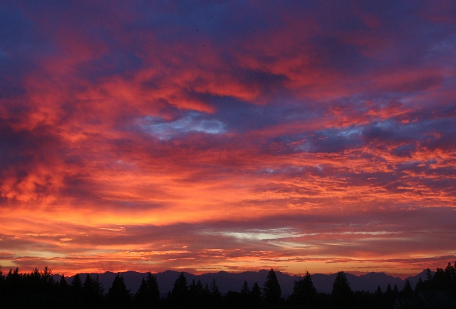 sunrise 40 jul22.jpg