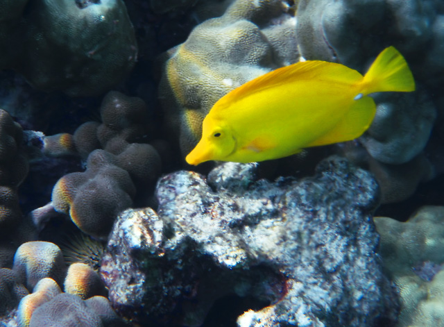fish 089_filtered ed.jpg