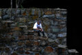 Solitude