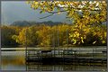Cove Lake