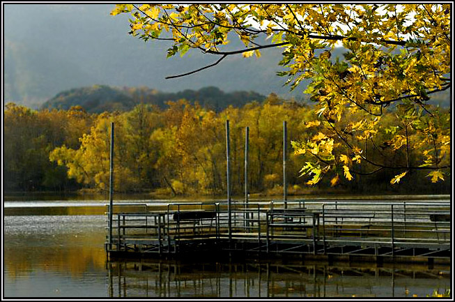 Cove Lake