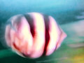 Weird fishes I