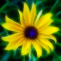 Mellow Yellow