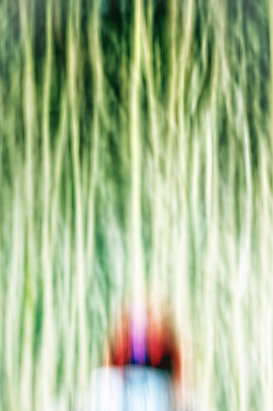 My wife in the bush of ghosts