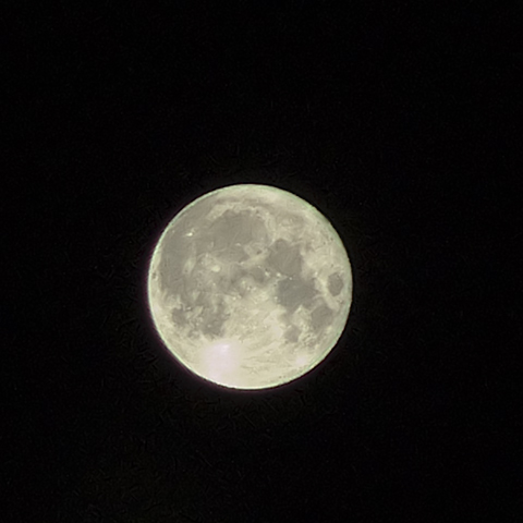 The Moon