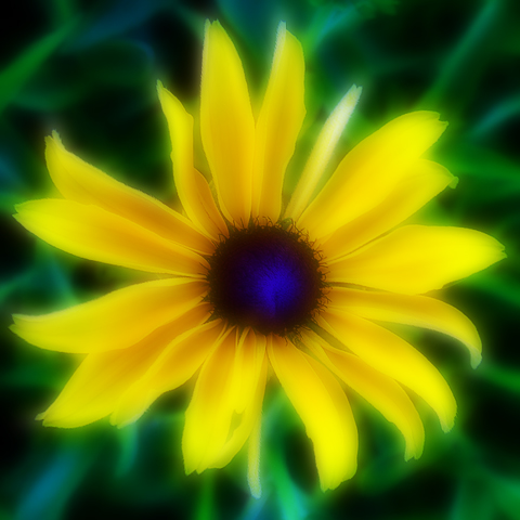 Mellow Yellow