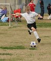 IMG_2527.JPG