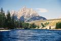 Yellowstone River and Grand Tetons