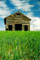 Barn Two