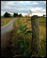 Life on the Farm