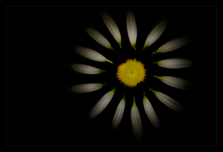 Flower Entry - Redo