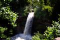 Minnehaha Falls Dreamscape