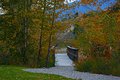 Autumn Bridge