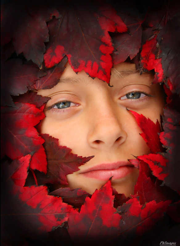 Autumn