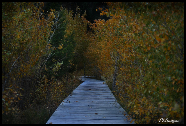 Boardwalk