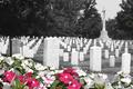 Arlington