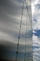 Silver Sky .jpg