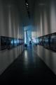 Light Path.jpg