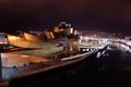 Guggenheim at Night.jpg