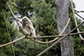 Hangin' Out