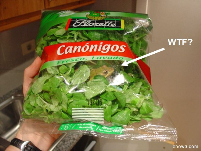 Fresh Greens.jpg
