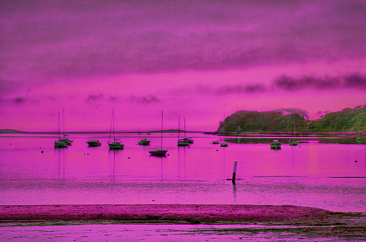 purple-boats-tone.jpg