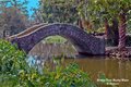 Bridge Over Murky Water