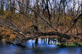 DSC_6239_7_8.jpg