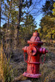 HDR Hydrant