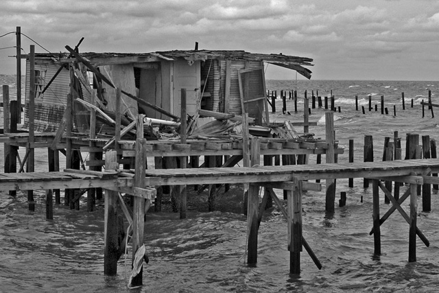 CAMP-BW.jpg