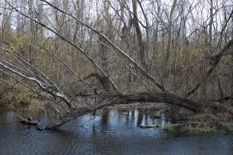 DSC_6239.jpg
