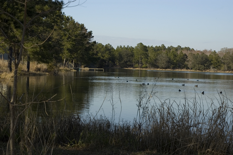 DSC_6378orig.jpg