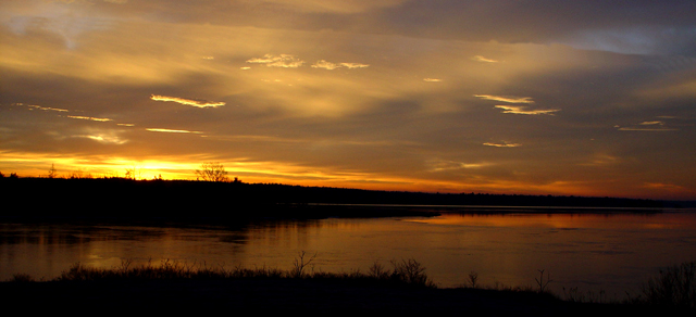 Golden Reflections