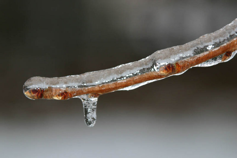 Deep freeze