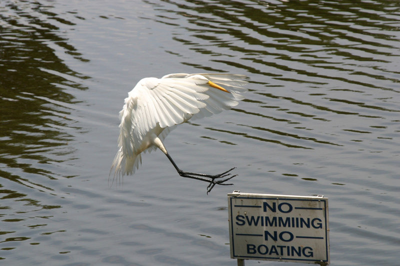 Putting on the brakes
