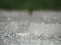 P9153459-resized.jpg