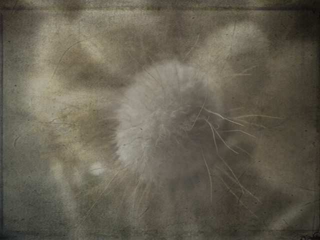 Day-1-resized.jpg