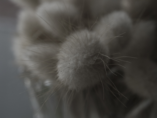 Day-1-original-resized.jpg