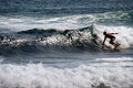 Surfer dude