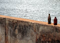 Bottles on the wall