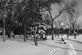 Around the Lake