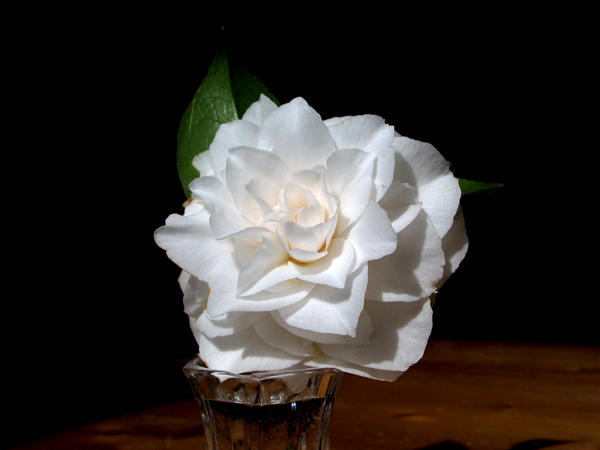 D&L-0768_RT16.jpg