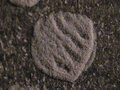 wallpaper macro
