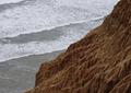 Torrey Pines Cliffs
