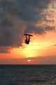 DSC_8210crop-adjustedV2.jpg