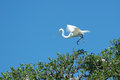 DSC_8833v1.jpg
