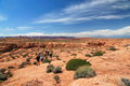 DSC_0107x1web.jpg